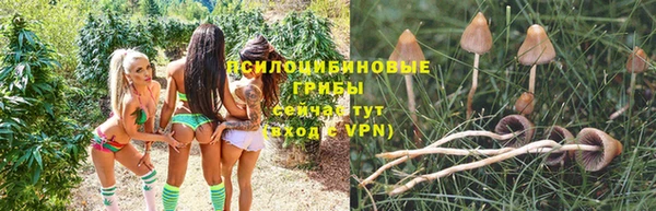 скорость Балахна