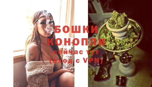 прущие крисы Баксан