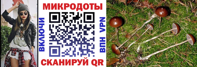 Псилоцибиновые грибы мухоморы  KRAKEN зеркало  Новая Ляля 
